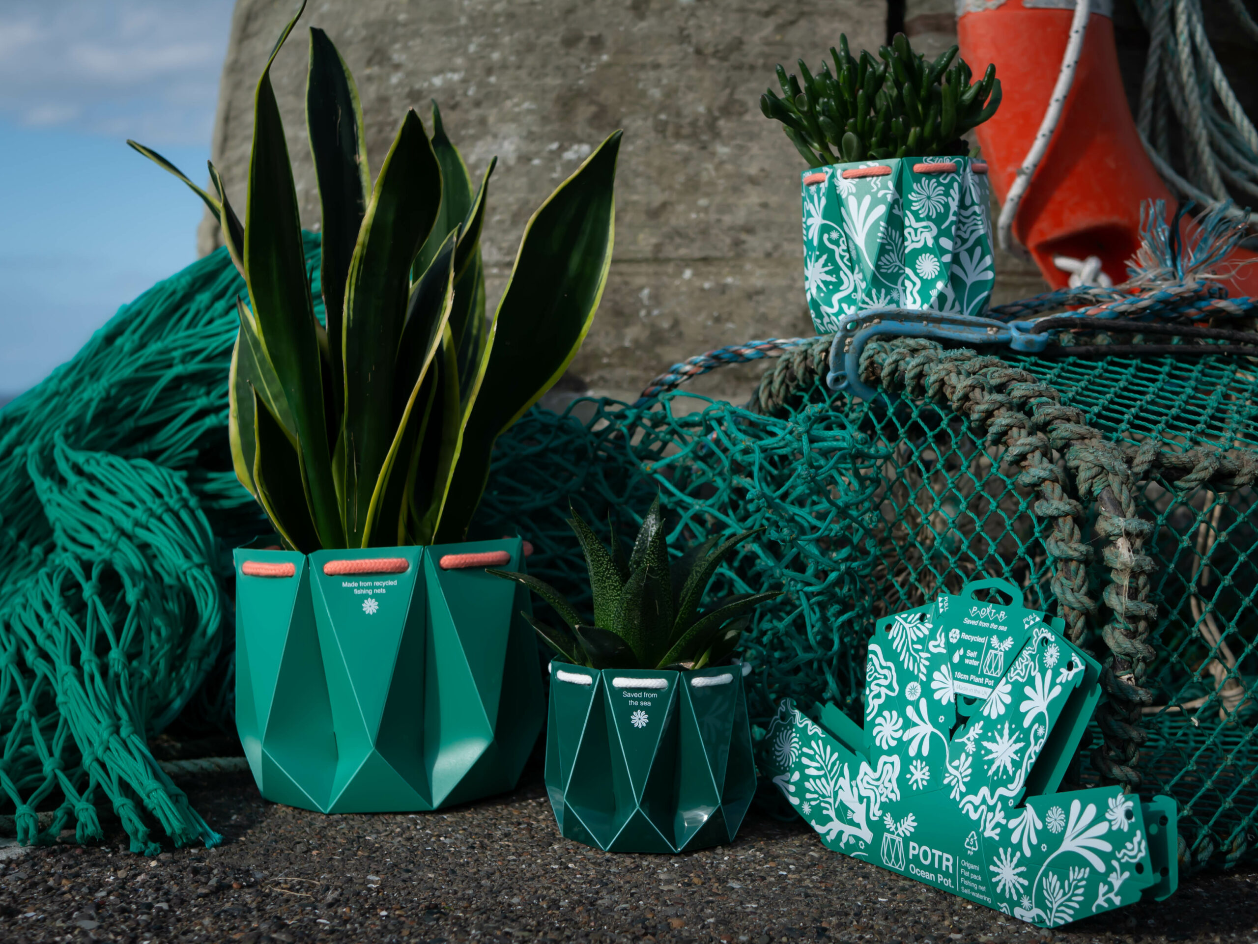 POTR Ocean Pots 1 POTR Ocean Pots 1